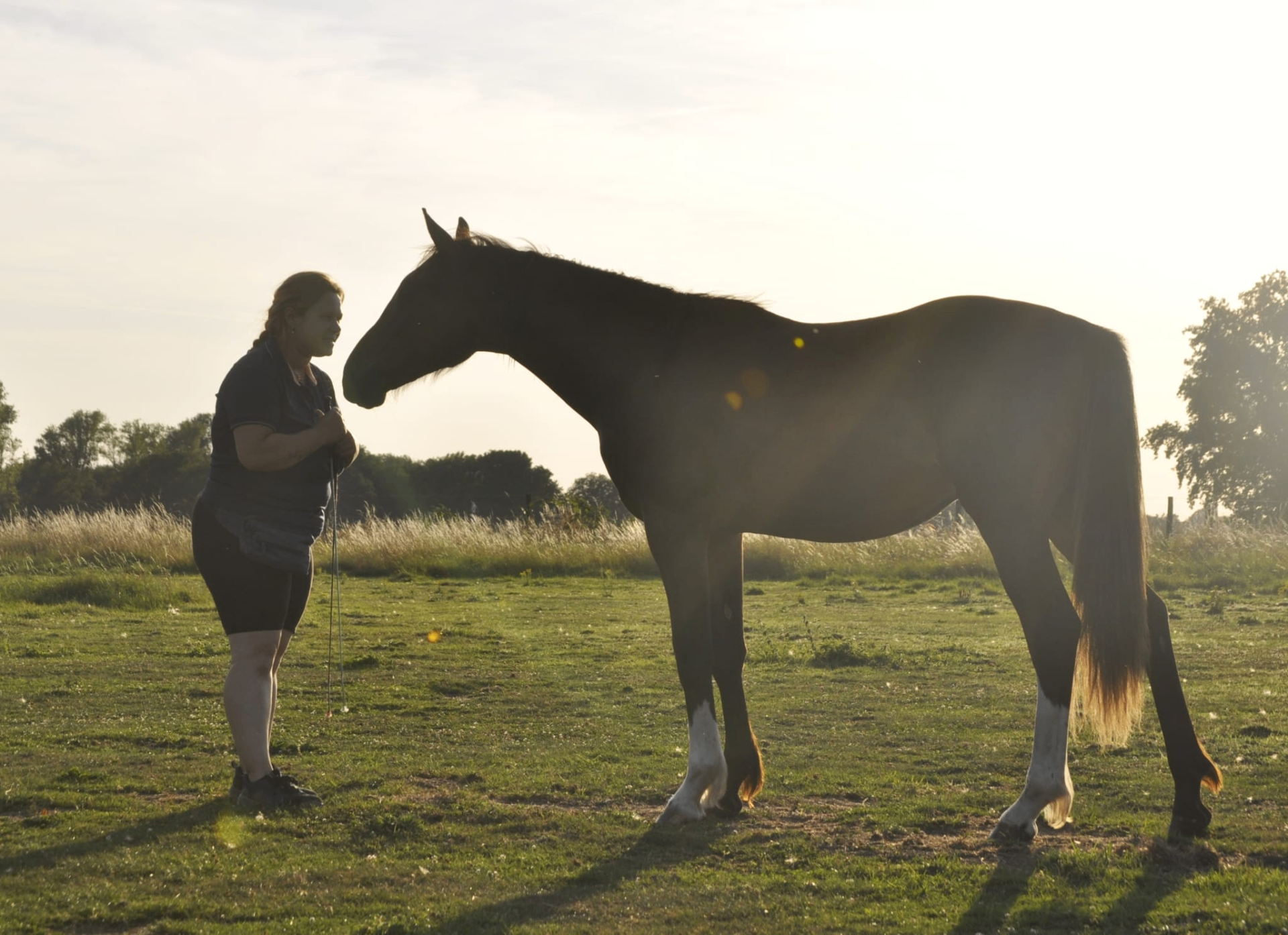 Stille Begegnung mit einem Pferd im Abendlicht