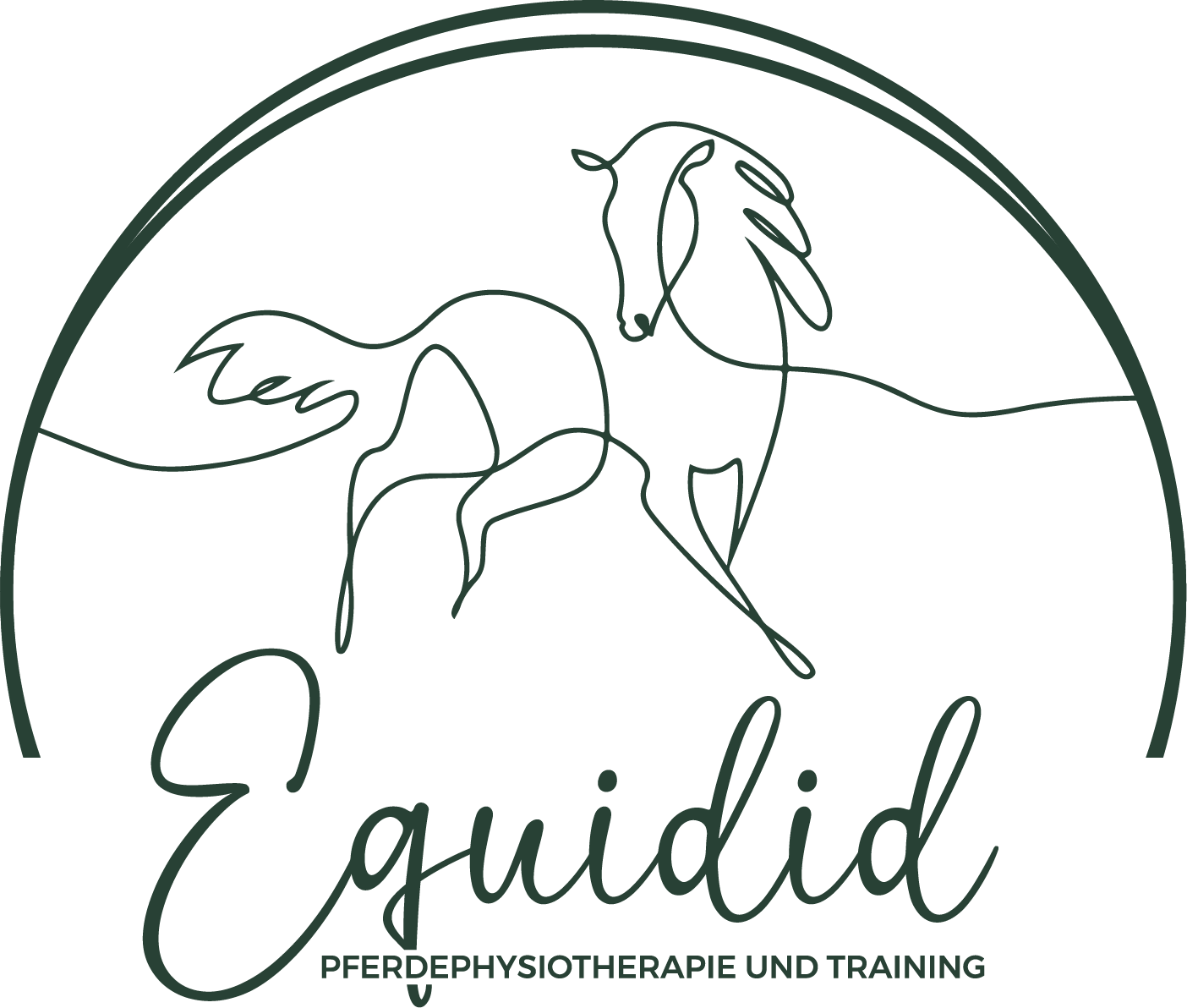 Equidid – Pferdephysiotherapie und Training